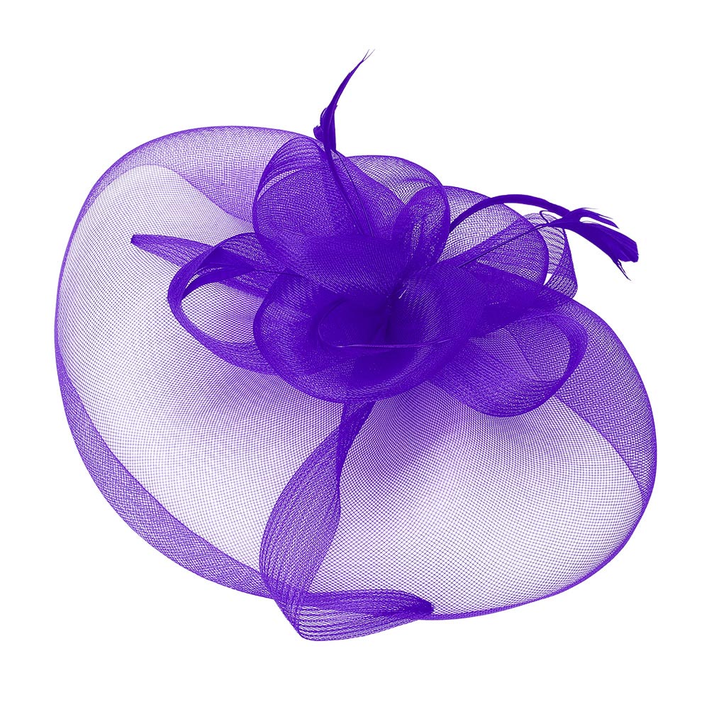 iLLASPARKZ Mesh Flower Feather Pointed Fascinator / Headband