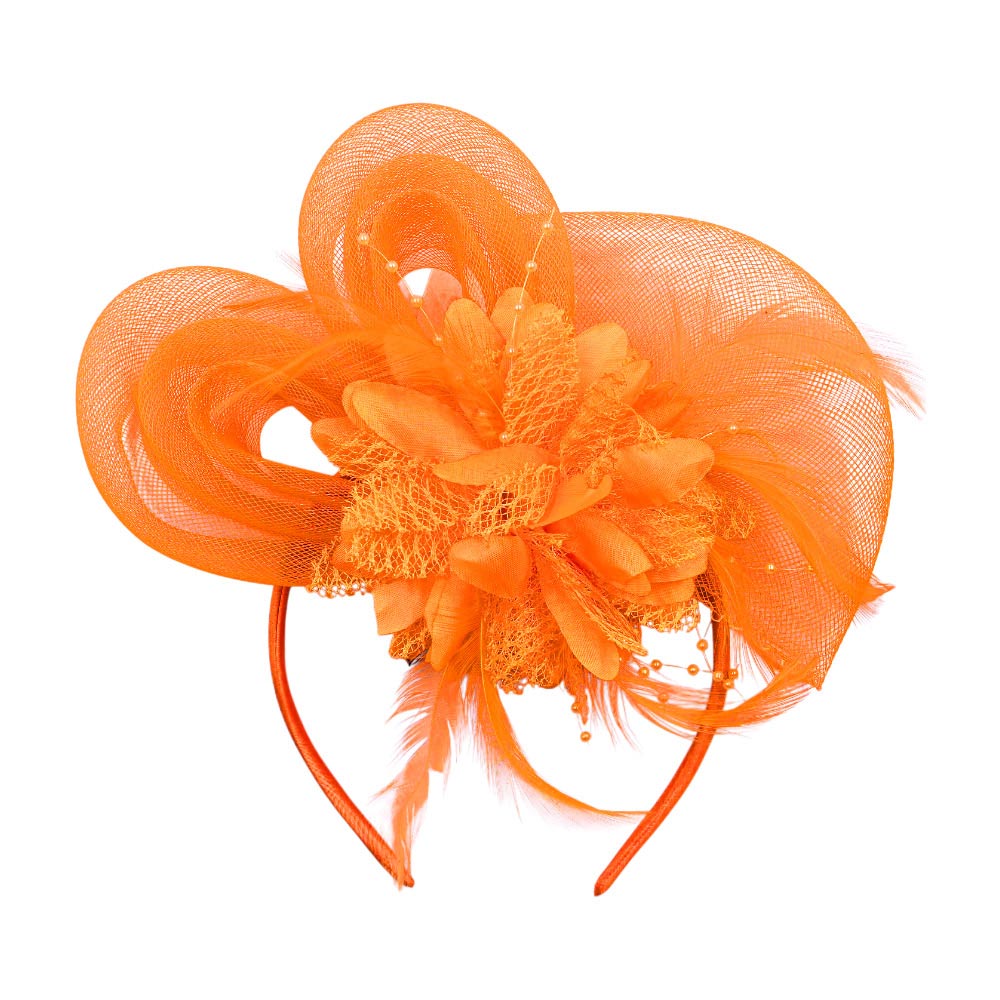 iLLASPARKZ Bow Flower Feather Mesh Fascinator / Headband