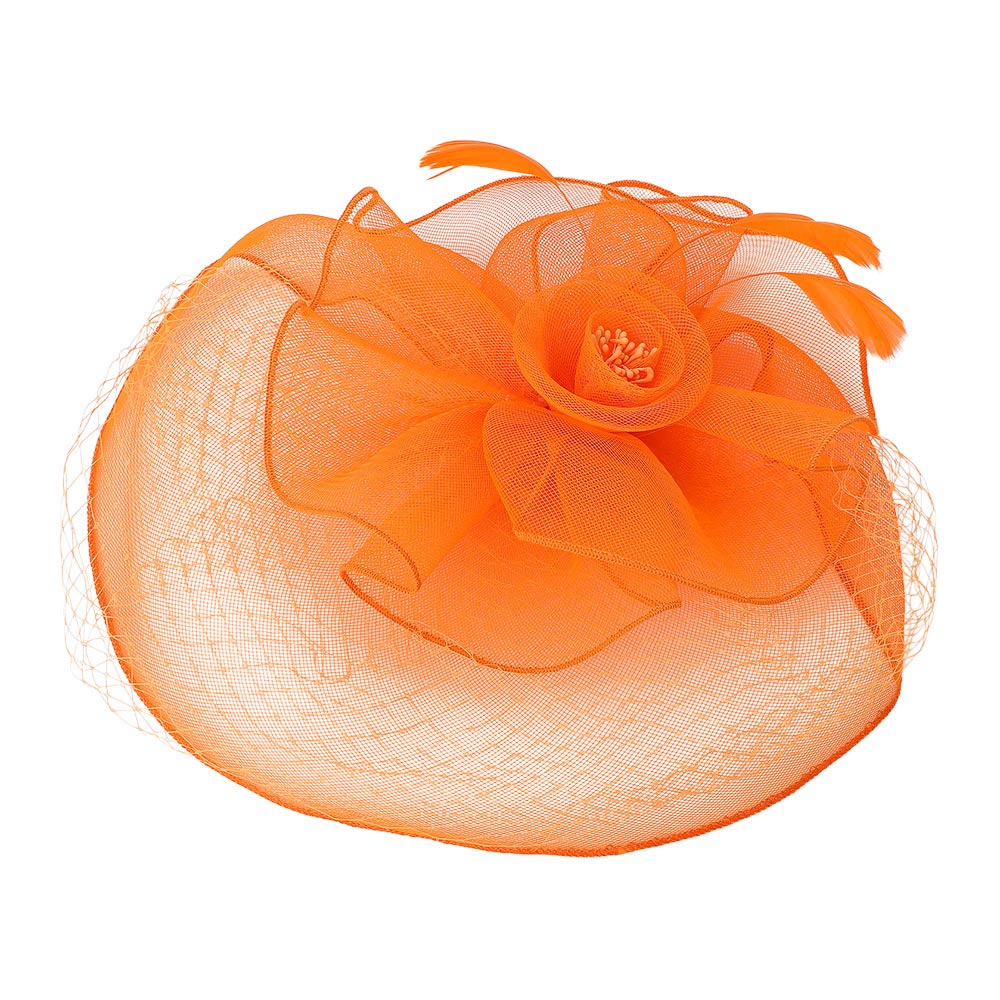 iLLASPARKZ Flower Feather Mesh Fascinator / Headband