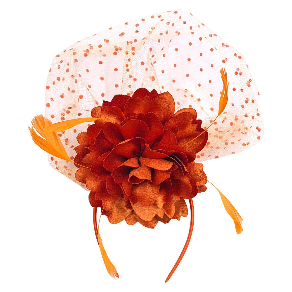 iLLASPARKZ Flower Feather Veil Fascinator / Headband