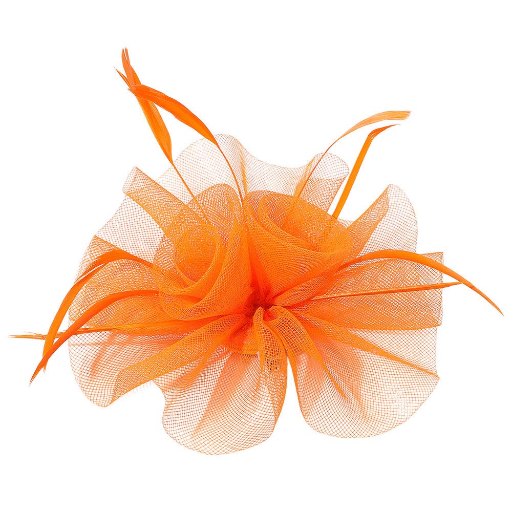iLLASPARKZ Mesh Flower Feather Mesh Fascinator / Headband