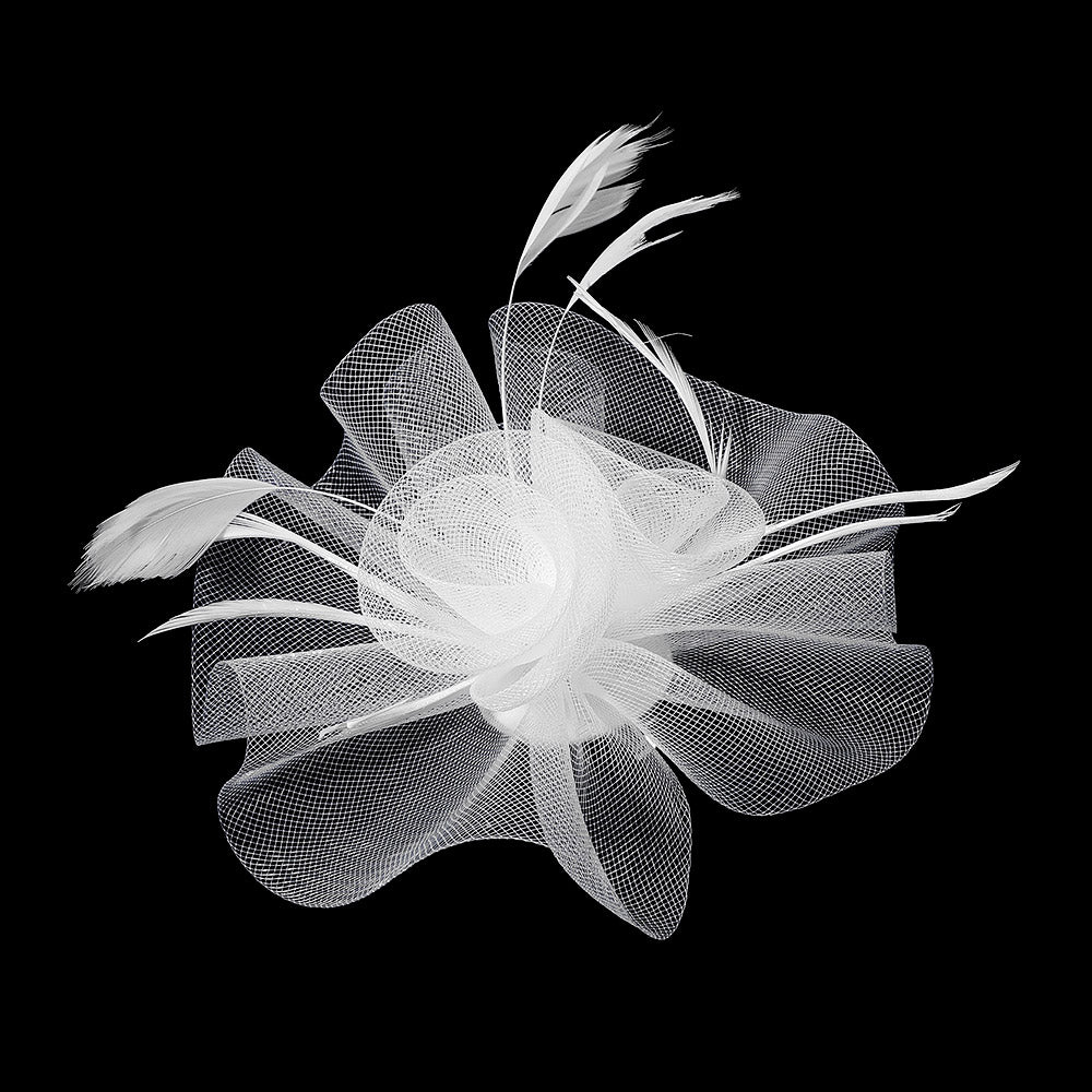 iLLASPARKZ Mesh Flower Feather Mesh Fascinator / Headband