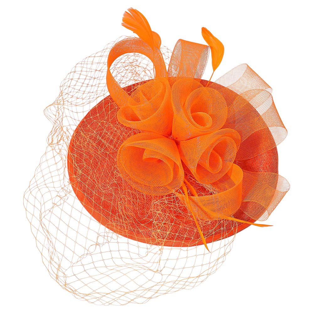 iLLASPARKZ Rosette Feather Mesh Fascinator / Headband