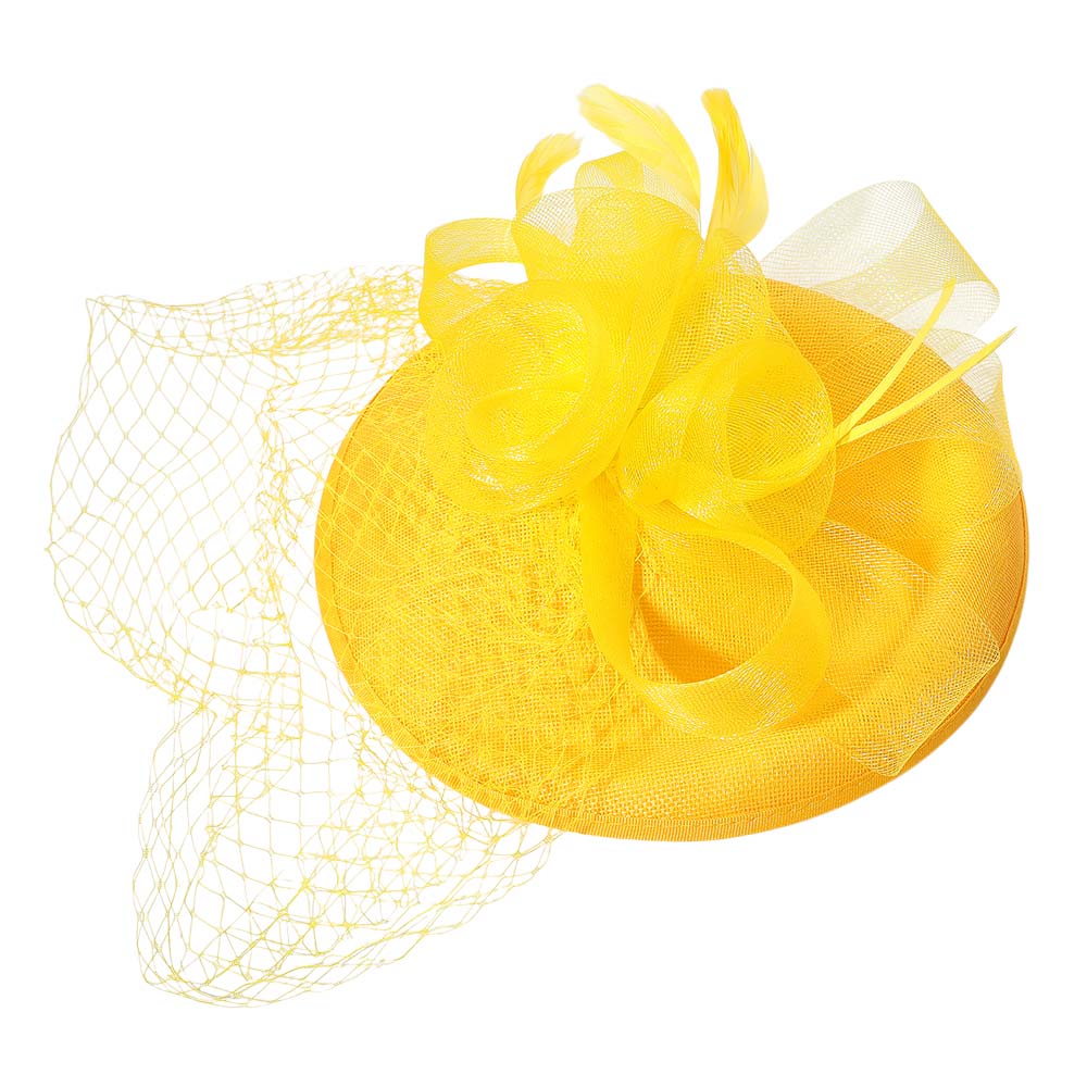 iLLASPARKZ Rosette Feather Mesh Fascinator / Headband