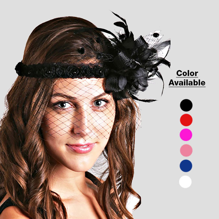 iLLASPARKZ Elegant feather birdcage veil fascinator headband