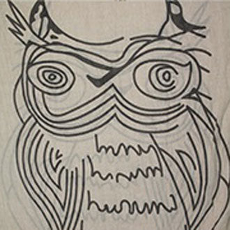 iLLASPARKZ Cotton Owl Print Scarf