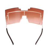 Brown Geometric Shield Sunglasses